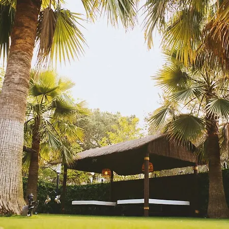 Caribbean Lodge