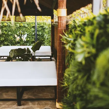 Caribbean Lodge *